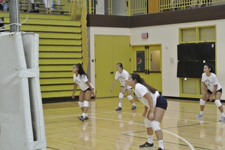 Women's Volleyball Gets Clipped By PSU Scranton